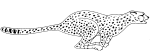 cheetah_150.gif (2722 bytes)